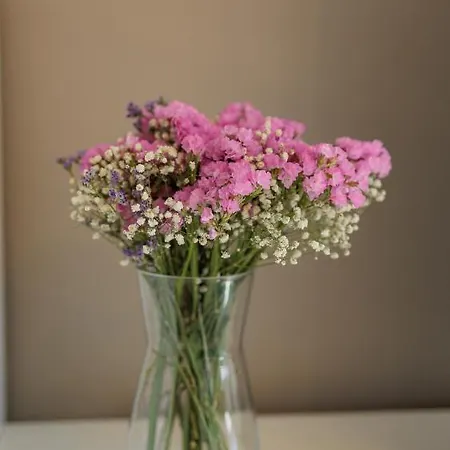 Bella Lux With Jacuzzi, Grill & Garden Apartamento Zadar