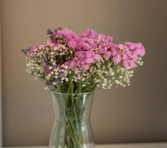 Bella Lux With Jacuzzi, Grill & Garden Lägenhet Zadar