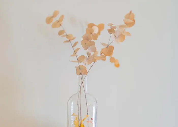 Lägenhet Bella Lux With Jacuzzi, Grill & Garden *